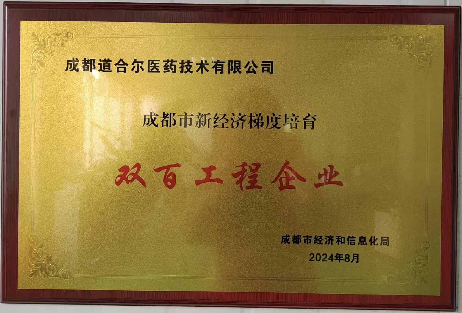 双百工程企业（2024）